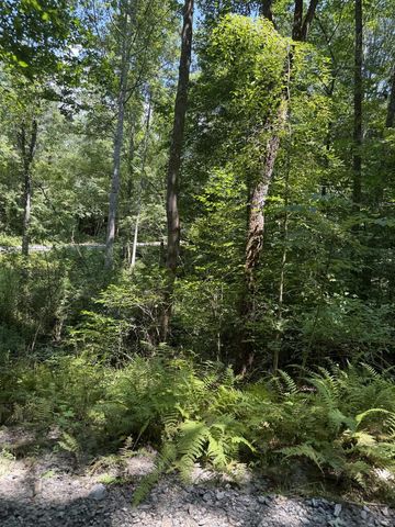 Lot 5 Blair Creek Ridge, Hayesville, NC 28904