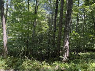 Lot 5 Blair Creek Ridge, Hayesville, NC 28904