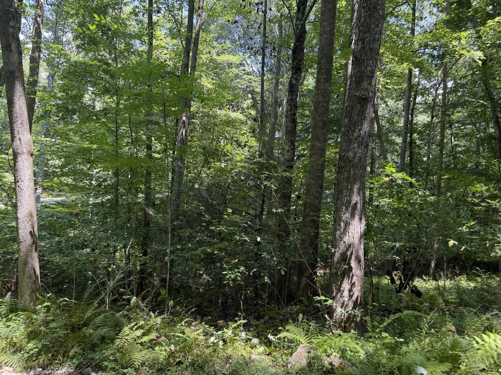 Lot 5 Blair Creek Ridge, Hayesville, NC 28904