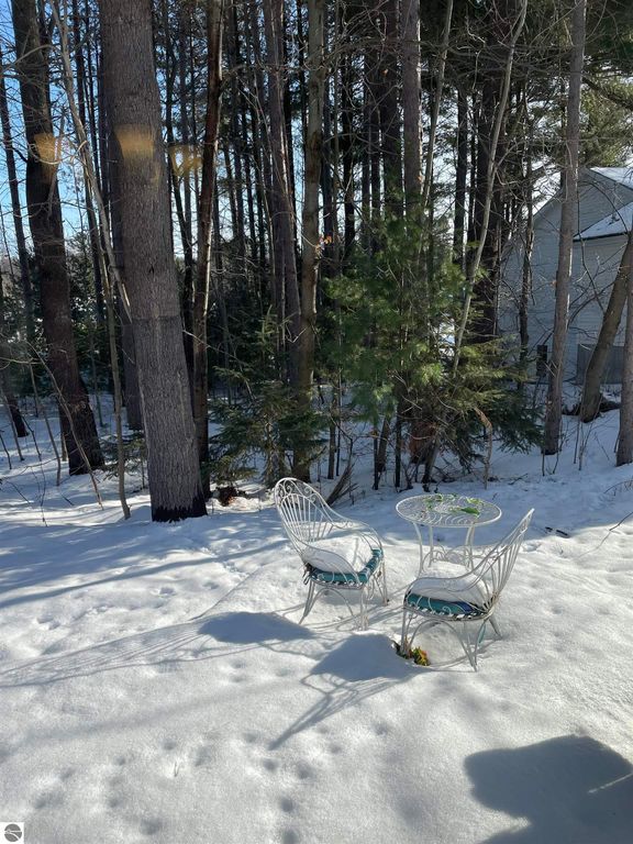 Image 7 of property listing at 5591 Millbrook Drive # 45, Williamsburg, MI 49690