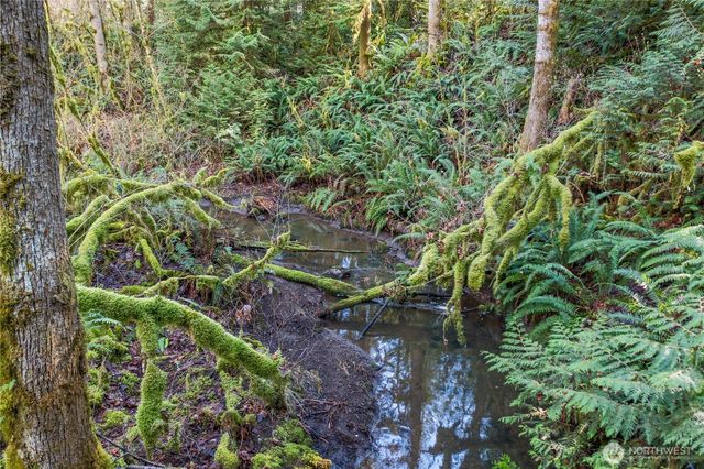 0 Van Wyck, Bellingham, WA 98226
