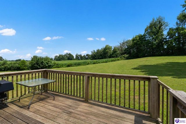 269 Waterfowl Loop, Rineyville, KY 40162