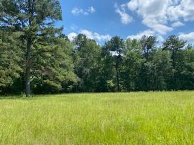 3210 Fm 3065, Colmesneil, TX 75938