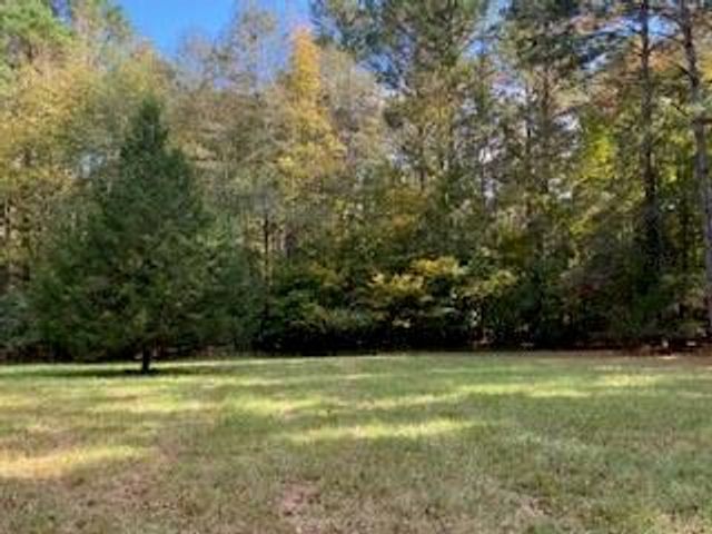 3210 Fm 3065, Colmesneil, TX 75938