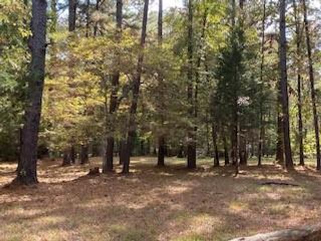 3210 Fm 3065, Colmesneil, TX 75938