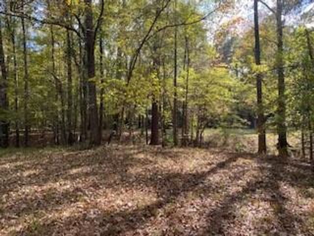 3210 Fm 3065, Colmesneil, TX 75938