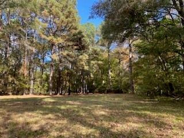 3210 Fm 3065, Colmesneil, TX 75938