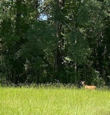 3210 Fm 3065, Colmesneil, TX 75938