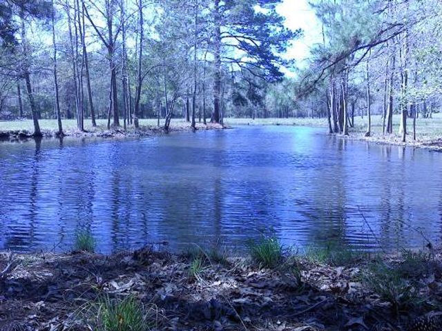 3210 Fm 3065, Colmesneil, TX 75938