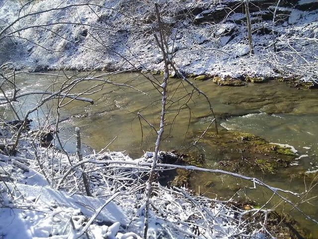 4640 Bald Knob Road, Frankfort, KY 40601