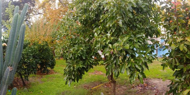 15695 El Capitan Way, Delhi, CA 95315