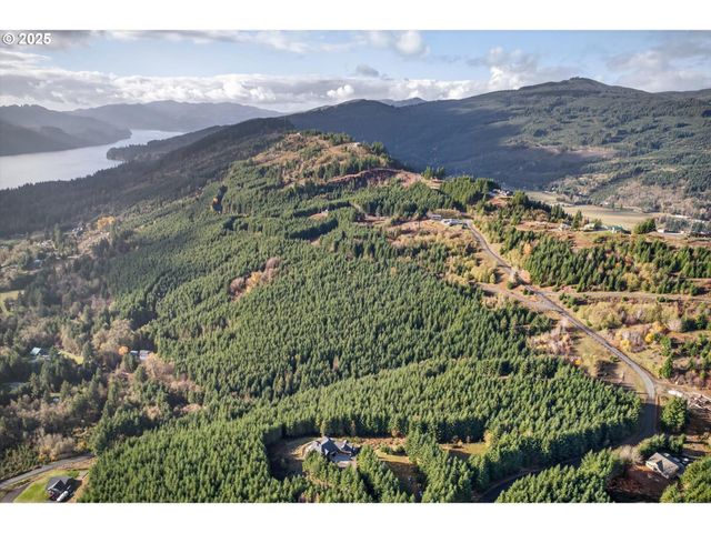 0 Knightsbridge Rd, Amboy, WA 98601