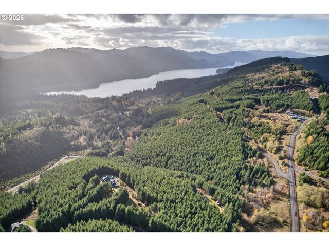 0 Knightsbridge Rd, Amboy, WA 98601