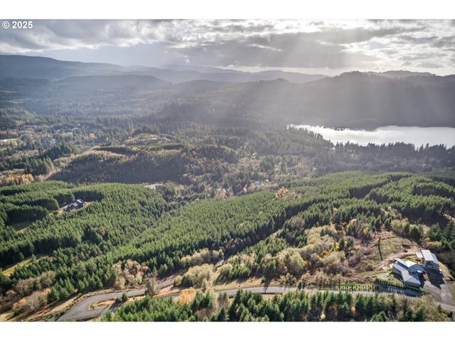 0 Knightsbridge Rd, Amboy, WA 98601