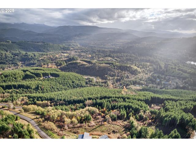 0 Knightsbridge Rd, Amboy, WA 98601