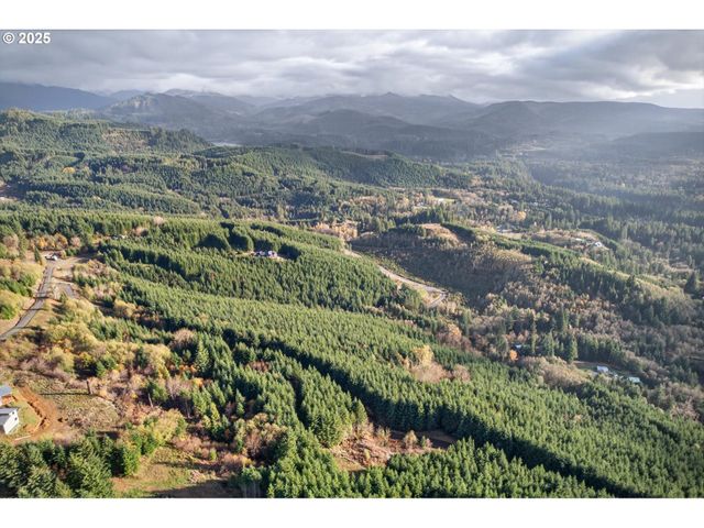 0 Knightsbridge Rd, Amboy, WA 98601