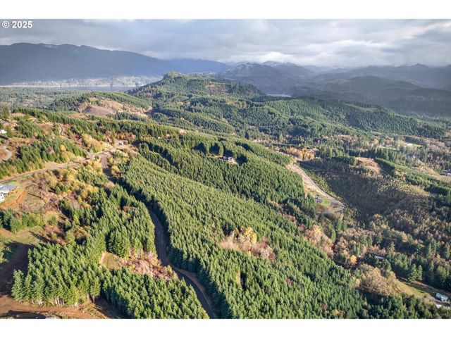 0 Knightsbridge Rd, Amboy, WA 98601