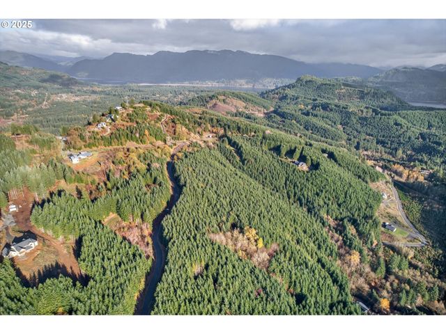 0 Knightsbridge Rd, Amboy, WA 98601