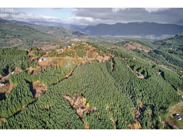 0 Knightsbridge Rd, Amboy, WA 98601