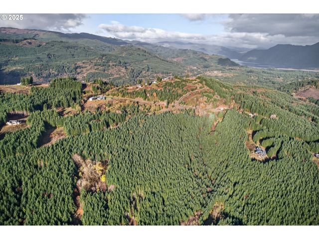 0 Knightsbridge Rd, Amboy, WA 98601