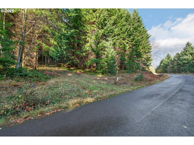 0 Knightsbridge Rd, Amboy, WA 98601