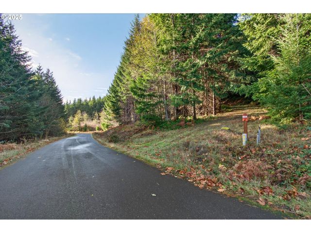 0 Knightsbridge Rd, Amboy, WA 98601