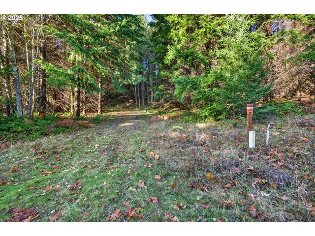 0 Knightsbridge Rd, Amboy, WA 98601