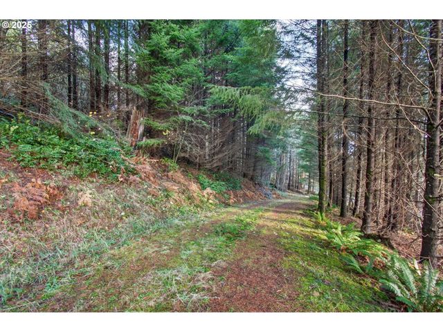 0 Knightsbridge Rd, Amboy, WA 98601