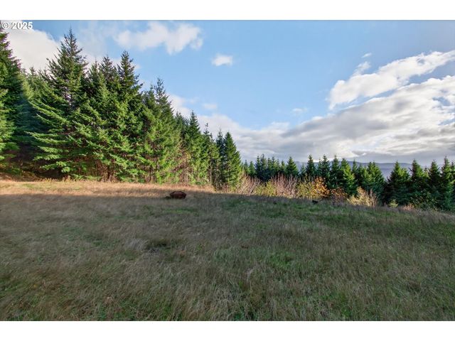 0 Knightsbridge Rd, Amboy, WA 98601
