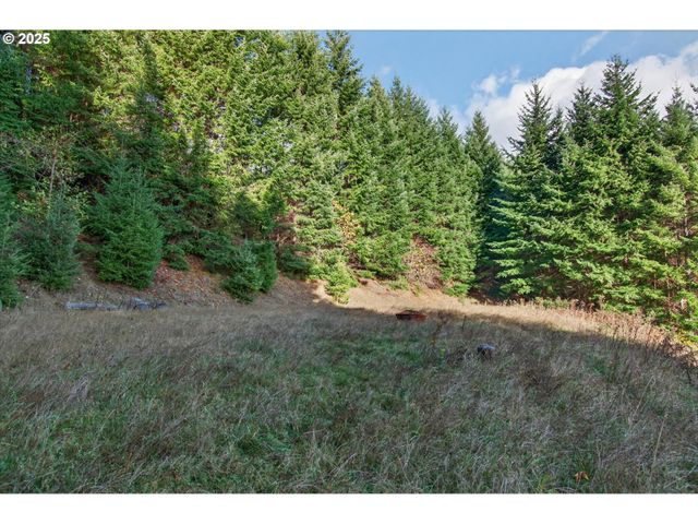 0 Knightsbridge Rd, Amboy, WA 98601