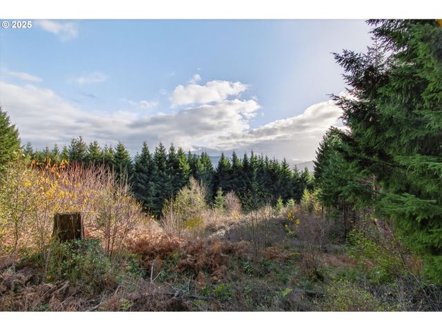 0 Knightsbridge Rd, Amboy, WA 98601