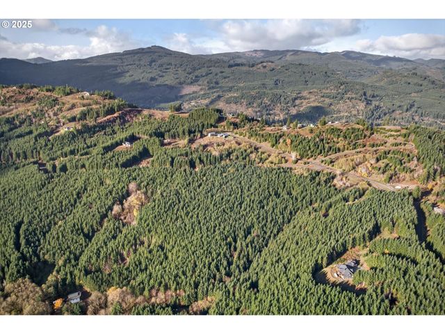 0 Knightsbridge Rd, Amboy, WA 98601