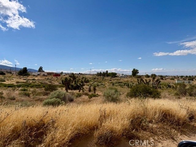 0 Ailanthus, Phelan, CA 92371