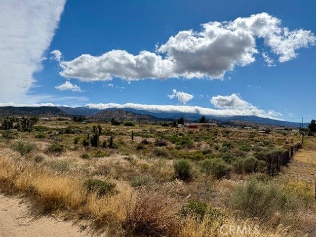 0 Ailanthus, Phelan, CA 92371