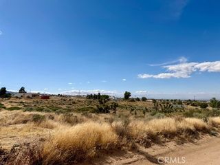 0 Ailanthus, Phelan, CA 92371