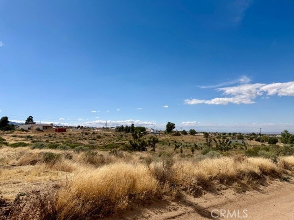 0 Ailanthus, Phelan, CA 92371