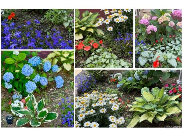 11754 W 85th Ave, Arvada, CO 80005