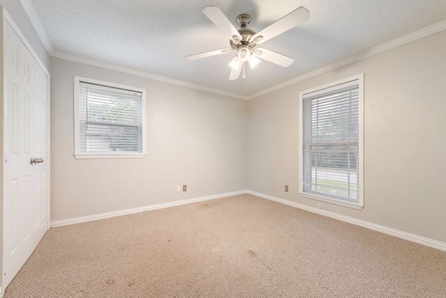 809 Buffalo Drive, Arlington, TX 76013