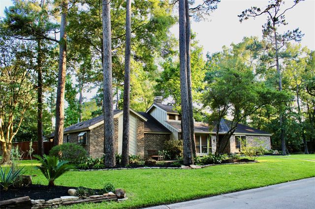 9 Willowherb Court, The Woodlands, TX 77380