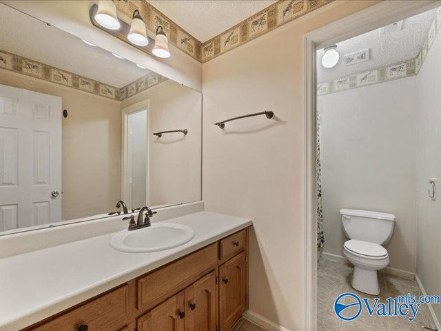 113 Carnegie Loop, Meridianville, AL 35759