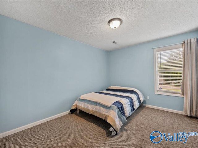 113 Carnegie Loop, Meridianville, AL 35759