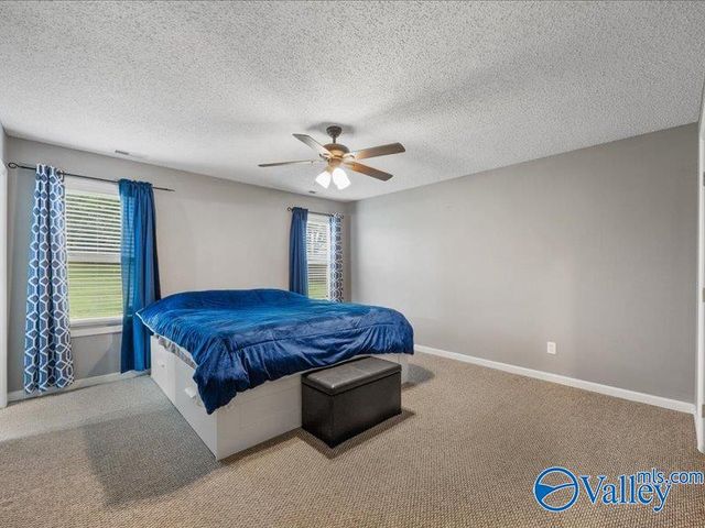 113 Carnegie Loop, Meridianville, AL 35759