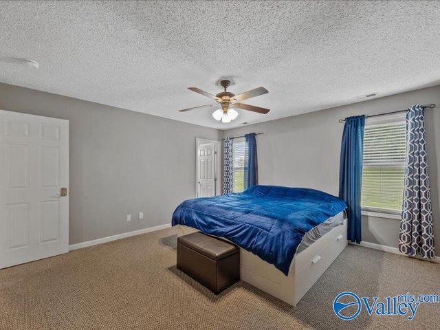 113 Carnegie Loop, Meridianville, AL 35759