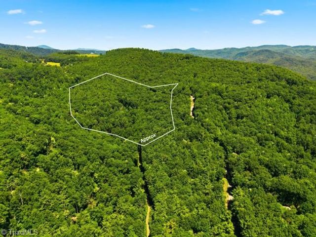 1187 Timber Ridge Road, Millers Creek, NC 28651