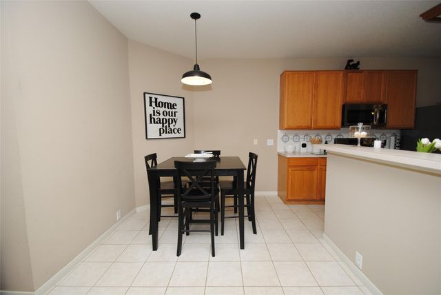 10202 Stone Cactus Drive, Houston, TX 77095