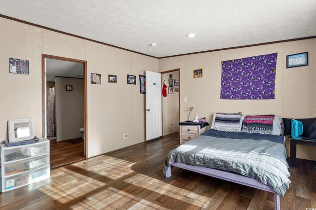 2824 Gobblers Run, Conway, SC 29527