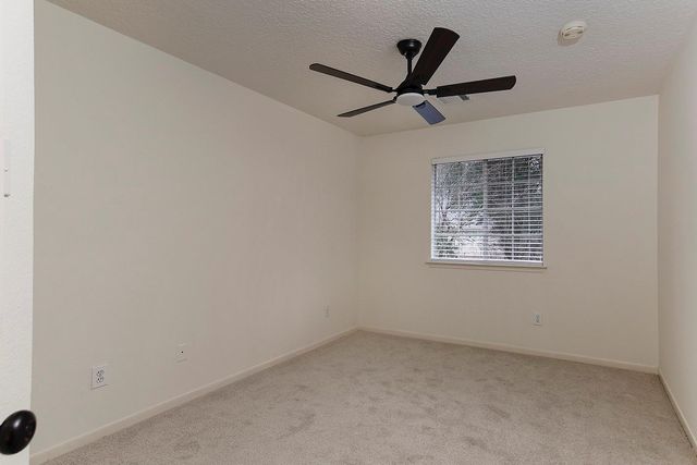 35 Tender Violet Place, The Woodlands, TX 77381