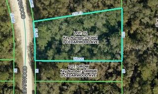 CEDARWOOD AVENUE, Weeki Wachee, FL 34614