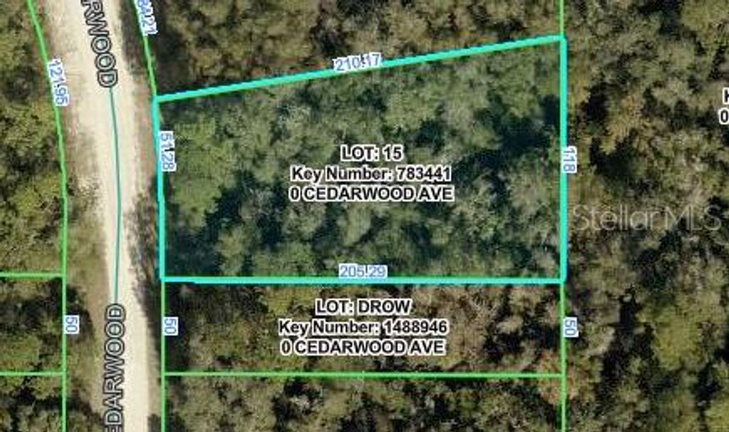 CEDARWOOD AVENUE, Weeki Wachee, FL 34614