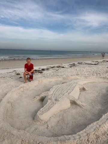 2291 SHELLY DRIVE DRIVE D, Palm Harbor, FL 34684